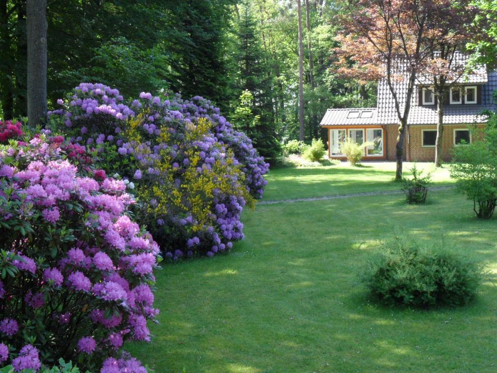 Ferienwohnungen / Ferienhaus Wahlers Bispingen Esterno foto