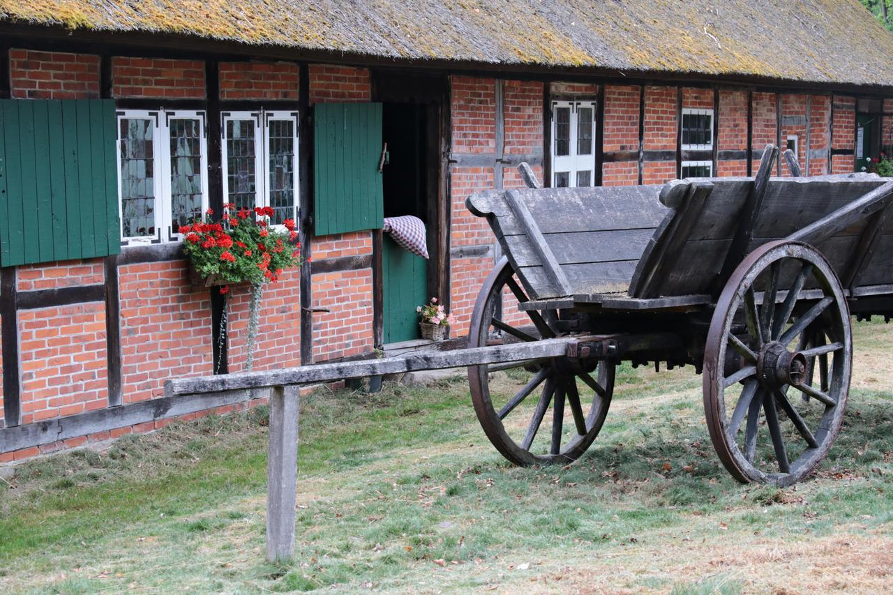 Ferienwohnungen / Ferienhaus Wahlers Bispingen Esterno foto