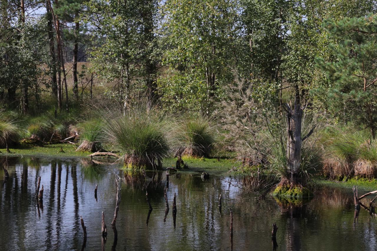 Ferienwohnungen / Ferienhaus Wahlers Bispingen Esterno foto